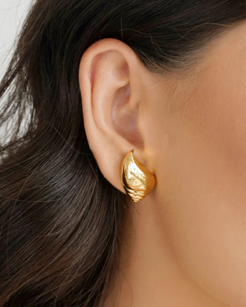 Shell Earrings