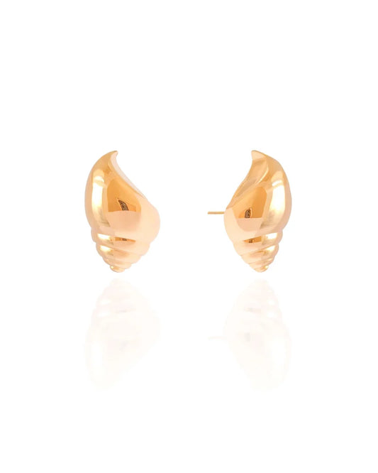 Shell Earrings